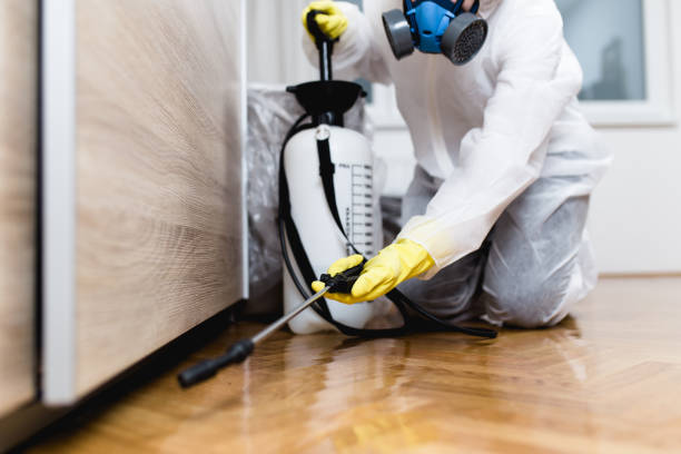 Best Emergency Pest Control  in Derwood, MD