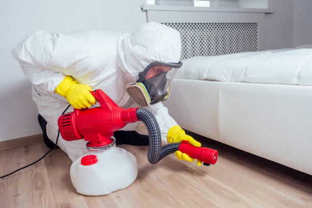 Best Mosquito Control Services  in Derwood, MD
