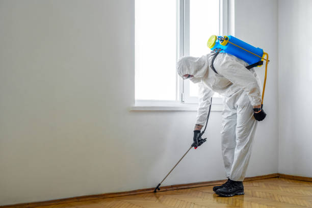 Best Flea Control Services  in Derwood, MD