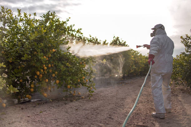 Best Cockroach Control Services  in Derwood, MD
