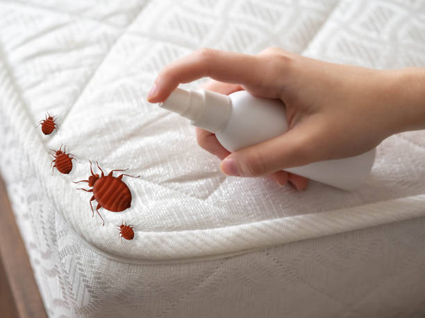 Best Pest Inspection Near Me  in Derwood, MD