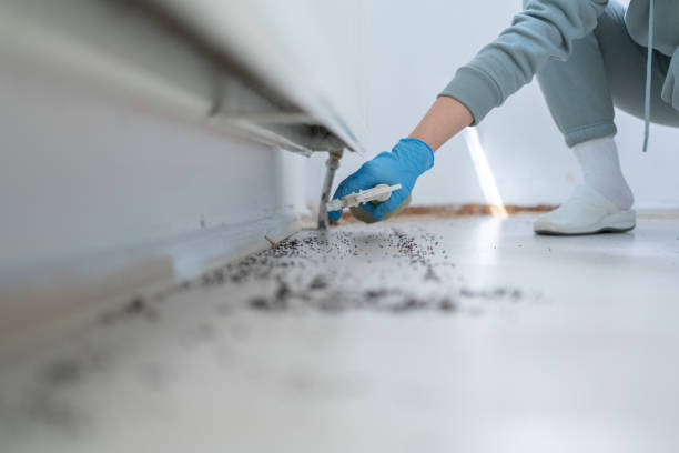 Best Residential Pest Control  in Derwood, MD