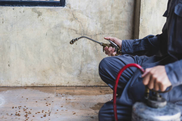 Best Best Pest Control Companies  in Derwood, MD